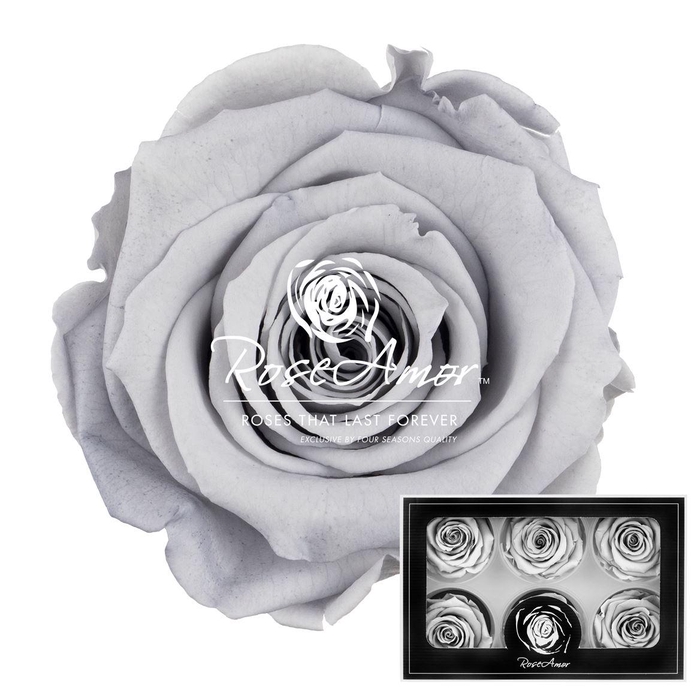 <h4>Lplus Gry02</h4>