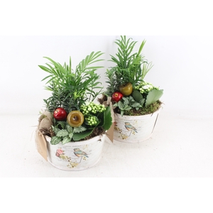 arr2 TD - MDF schaal rond - wit