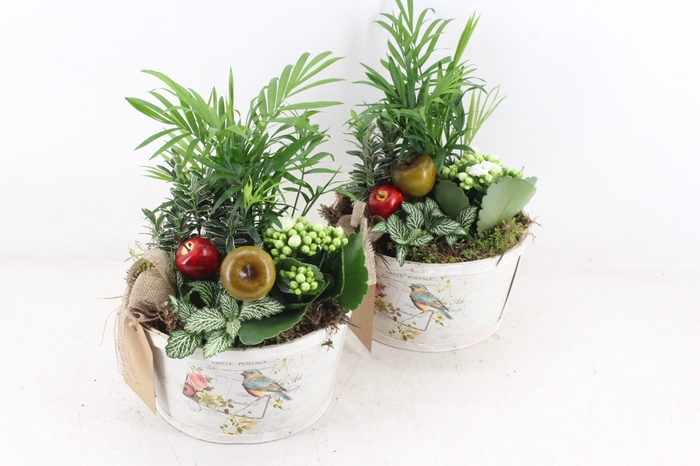 arr2 TD - MDF schaal rond - wit