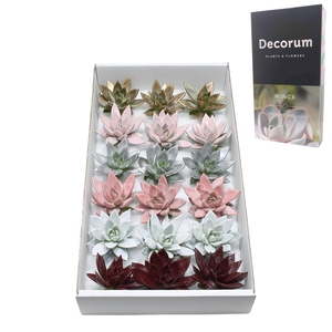 Ech Sparkling Paint Cutfl 03-06-07-04-12 Wincx-8cm