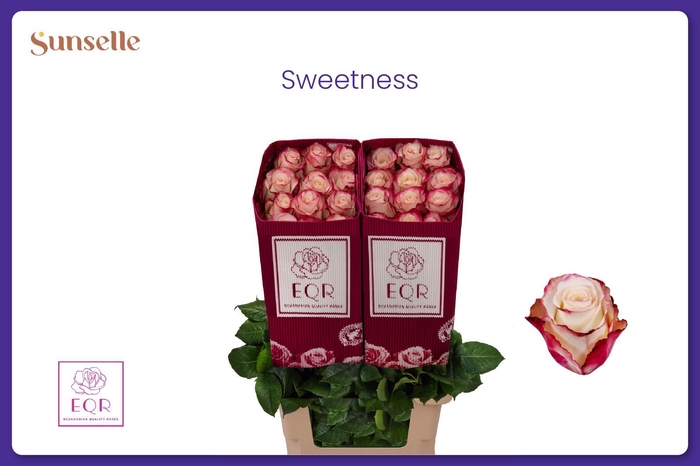 <h4>R GR SWEETNESS</h4>