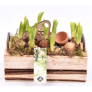 Hout rechth. met handvat 20x11cm