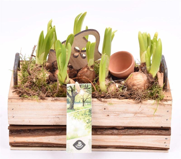 <h4>Hout rechth. met handvat 20x11cm</h4>