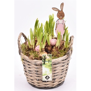 Wilg mand grijs met oor 18cm