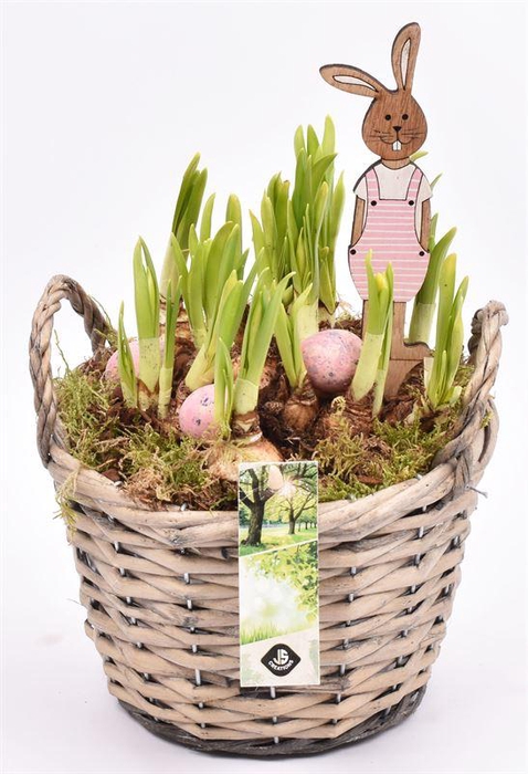 <h4>Wilg mand grijs met oor 18cm</h4>