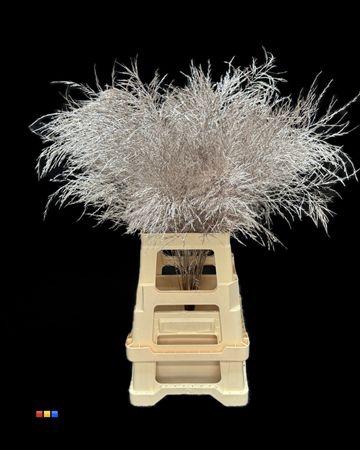 <h4>Treefern Champagne</h4>