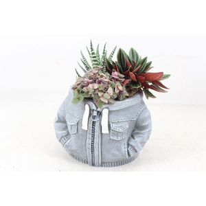 arr3 SN - Ker. hoodie grey