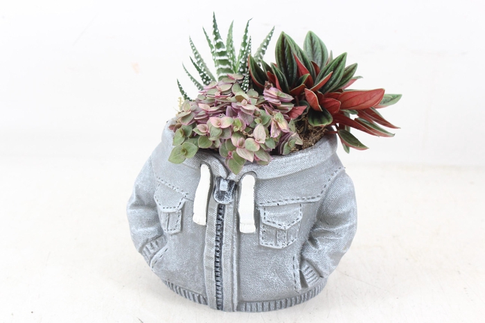 <h4>arr3 SN - Ker. hoodie grey</h4>
