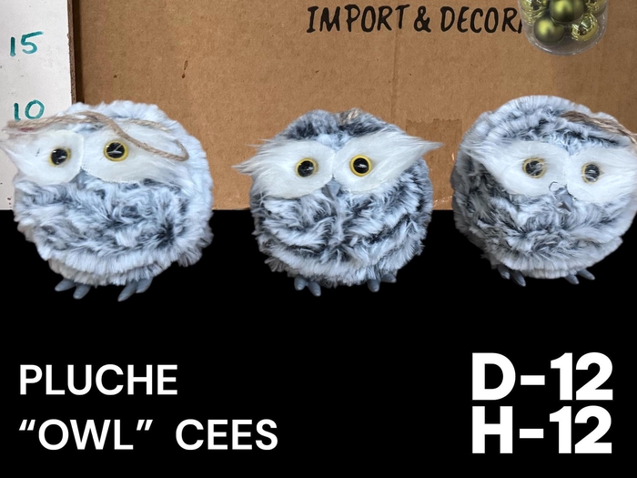 <h4>HUIS EN TUINDECO H%</h4>