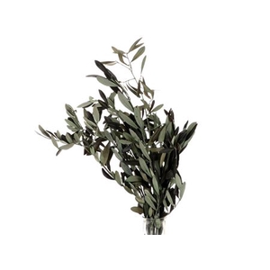 Bunch Olive Preserved 150g