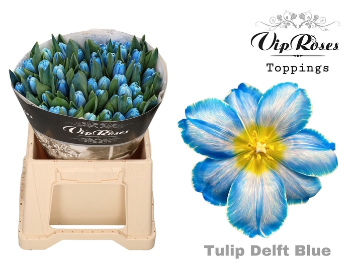 <h4>TU EN Paint DELFT BLUE RV</h4>