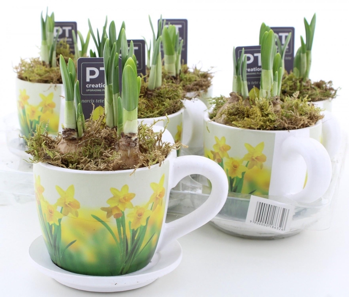 <h4>ARR N TETE A TETE</h4>