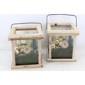 arr4 Hyacint PL - Hout lantaarn Gold