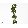 RIBES 400GR