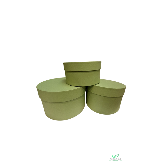 <h4>HATBOX D24 H13 GREEN SET3</h4>