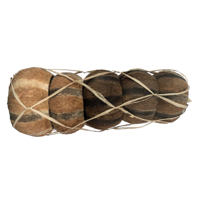 <h4>Dried articles Coco striped 13cm</h4>