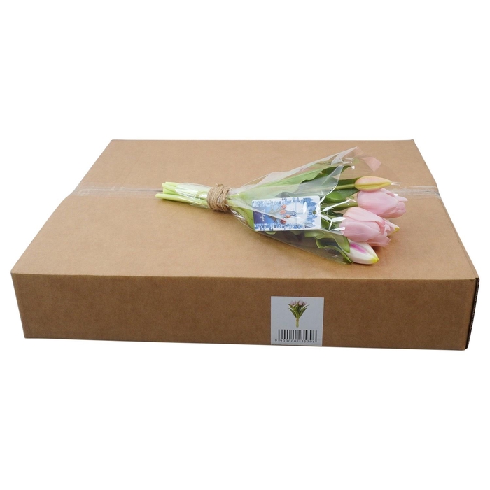 <h4>KUNSTBLOEM H%</h4>