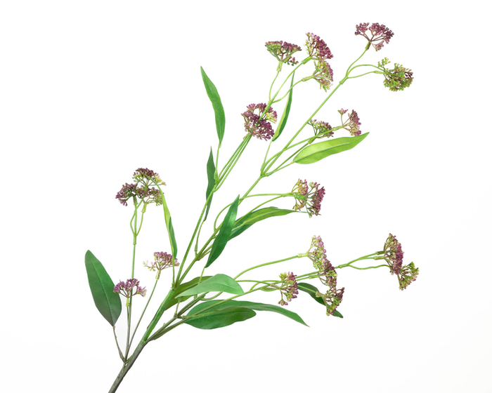 Berry Branch Aubergine