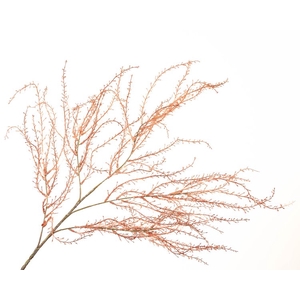 Coral Branch Red