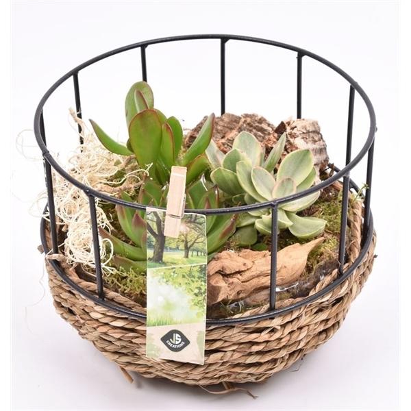 <h4>Gaasmand met touw 18cm</h4>