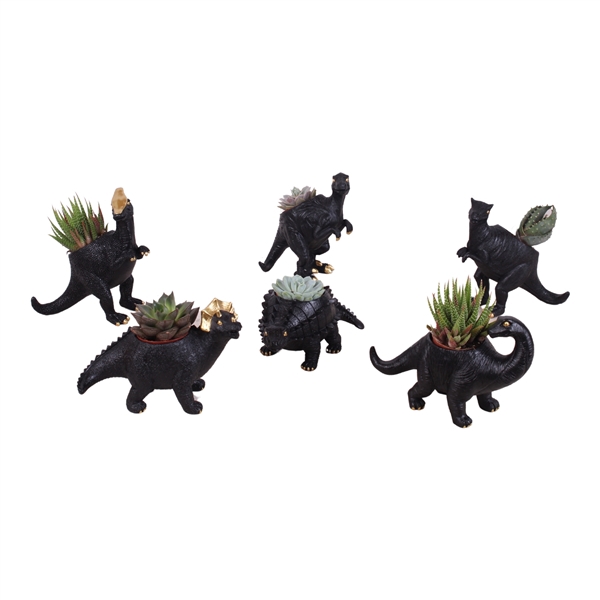 <h4>Year-Round Succulents Dinosour Mix 18cm 1 PP</h4>