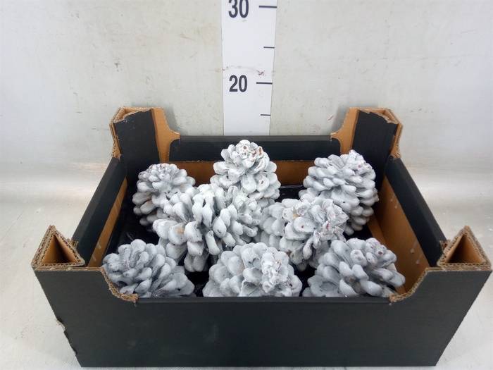 <h4>Decoratieve materialen   ...H%</h4>