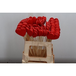 Hartje Op Stok H% Vol Hart X100