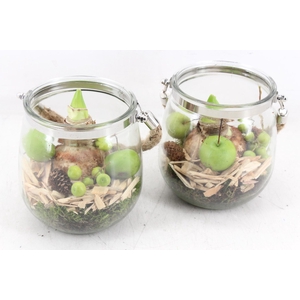 arr4 Amaryllis PL - Glas regla rope 813/3