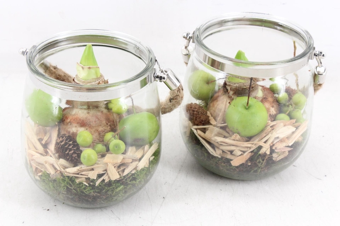 <h4>arr4 Amaryllis PL - Glas regla rope 813/3</h4>