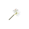 Amaryllis Mini Cream FL440369CRM