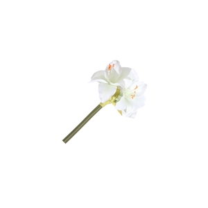 Amaryllis Mini Cream FL440369CRM
