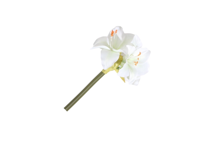 <h4>Amaryllis Mini Cream FL440369CRM</h4>