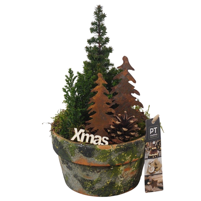 <h4>Arr. Kerst L%</h4>