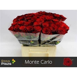 R Gr Monte Carlo