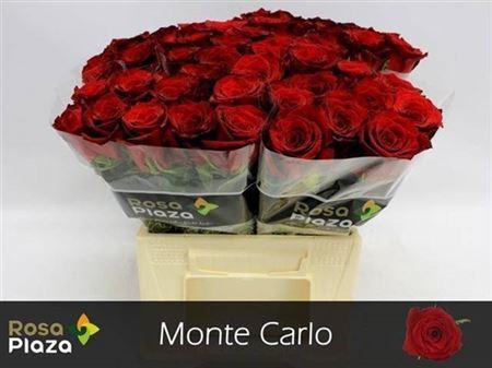<h4>R Gr Monte Carlo</h4>