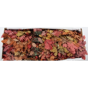 PF OAK LEAFS BS 150GR