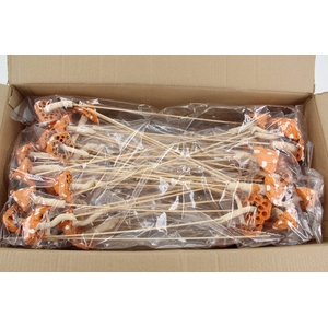 Stick Mushroom Lotus Orange