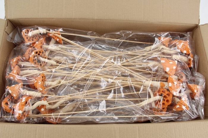 <h4>Stick Mushroom Lotus Orange</h4>