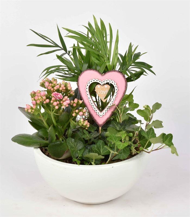 <h4>Keramiek schaal wit 20cm</h4>