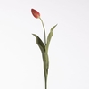 AF Tulip L69cm Red