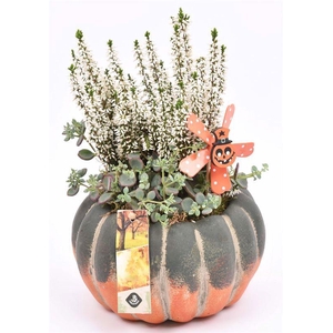 Cement pot ponmpoen or/gr 10-16cm