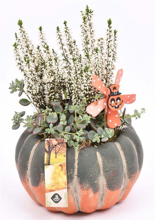 <h4>Cement pot ponmpoen or/gr 10-16cm</h4>