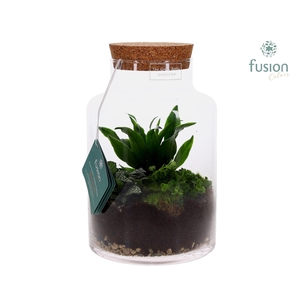 Glzen vaas met Terrarimum arrangement