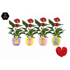 Anthurium 6 cm Micra in Egg Bunny ceramics