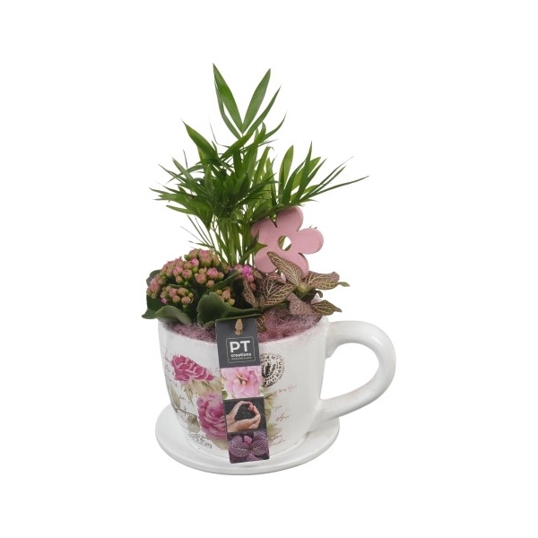 <h4>PTIB6342 Arrangement Indoor in keramiek pot</h4>