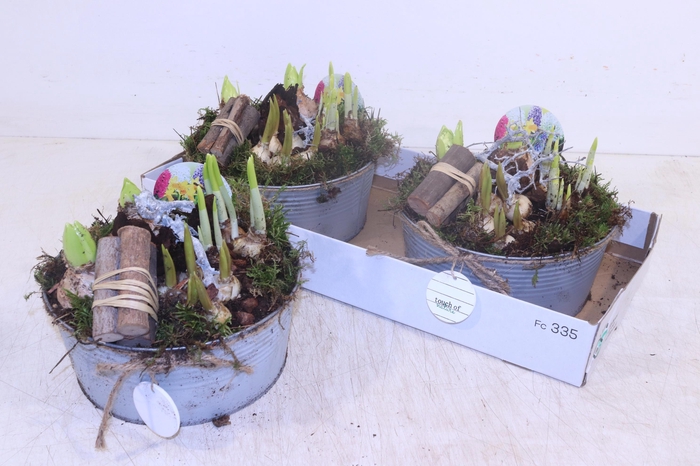 <h4>ARR BOL KNOLGEWAS</h4>