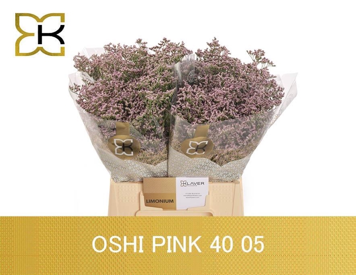 <h4>LIM SAF OSHI PINK</h4>