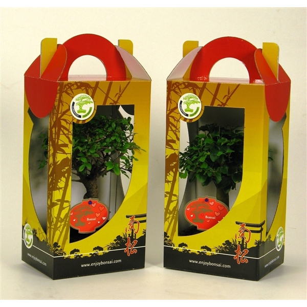 <h4>Bonsai mix in chinese giftbox 15 cm; with valentine/mothersday etiket, with driptray</h4>