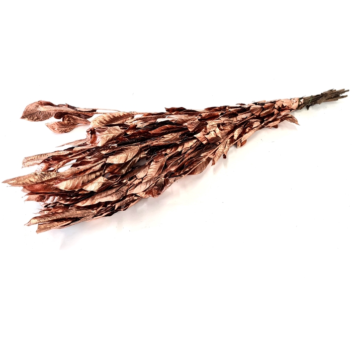 <h4>Jasminum leaves 60cm ±10pc per bunch preserved Copper</h4>