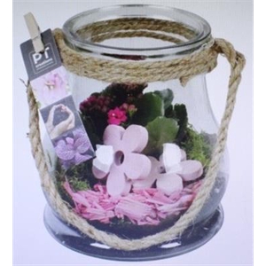 1452 ROZE GLAASJE TOUW